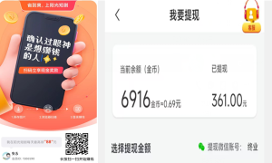 看广告一个0.5,单号每天30+,-枫叶网创